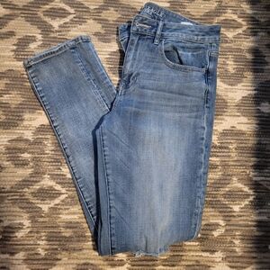 AE Hi-Rise Jegging